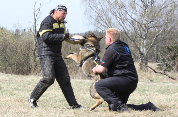 Training in Finland 5/2009