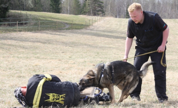 Training in Finland 5/2009