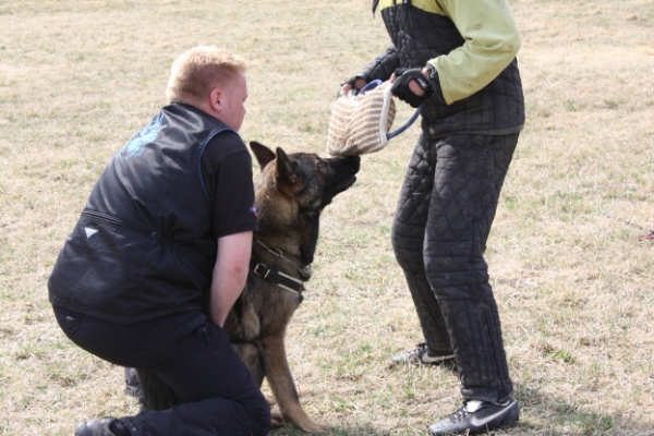 Training in Finland 5/2009