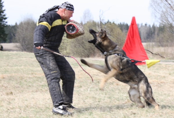 Training in Finland 5/2009