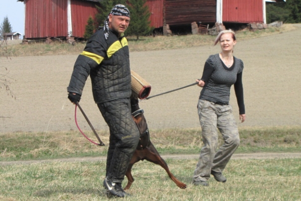 Training in Finland 5/2009