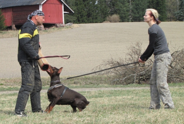 Training in Finland 5/2009