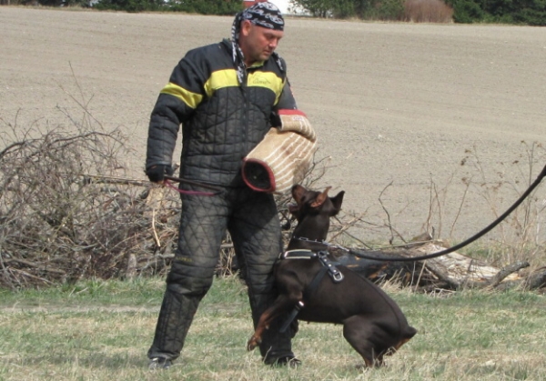 Training in Finland 5/2009