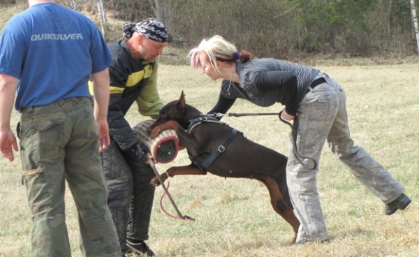 Training in Finland 5/2009