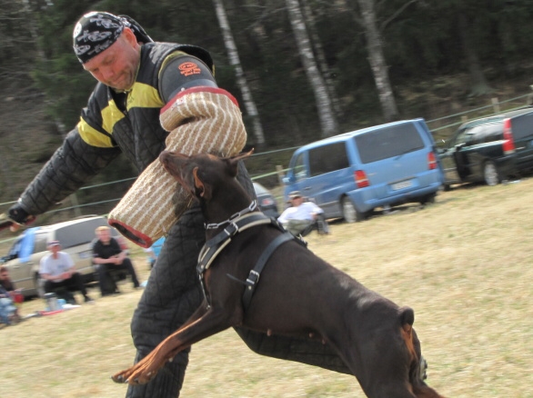 Training in Finland 5/2009