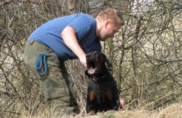 Training in Finland 5/2009