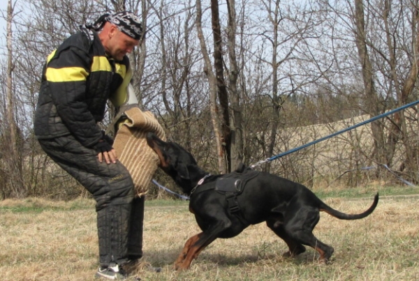 Training in Finland 5/2009