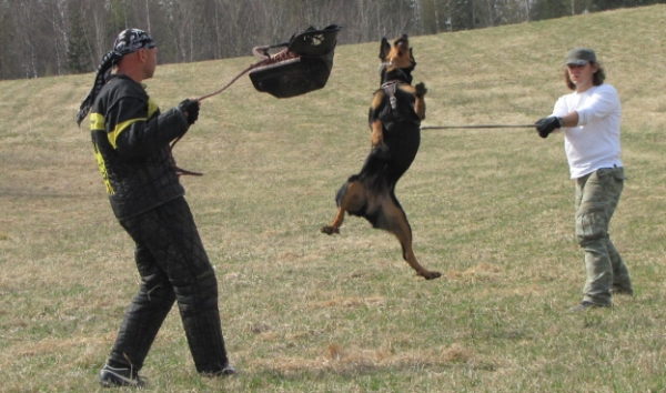 Training in Finland 5/2009