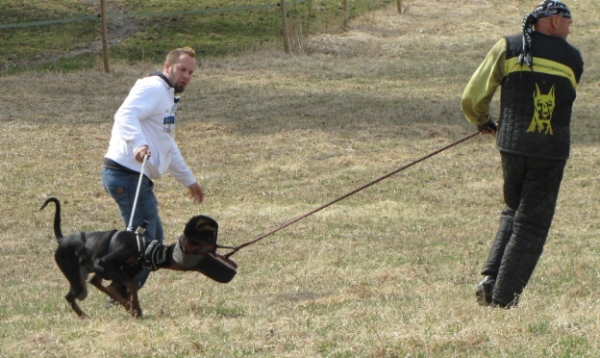 Training in Finland 5/2009