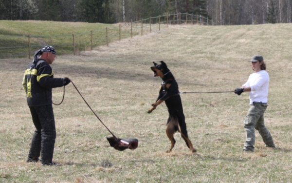 Training in Finland 5/2009