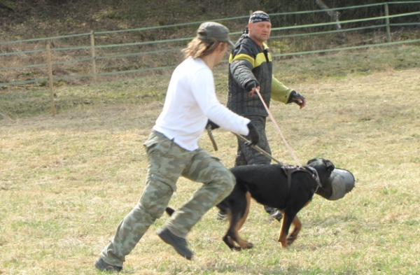 Training in Finland 5/2009