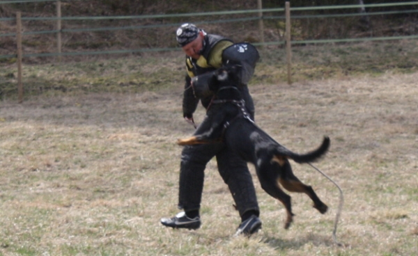 Training in Finland 5/2009