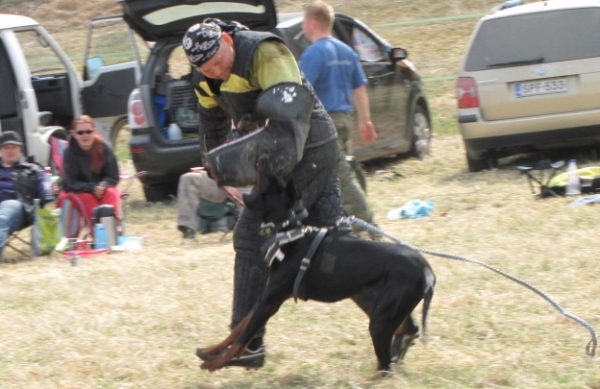 Training in Finland 5/2009