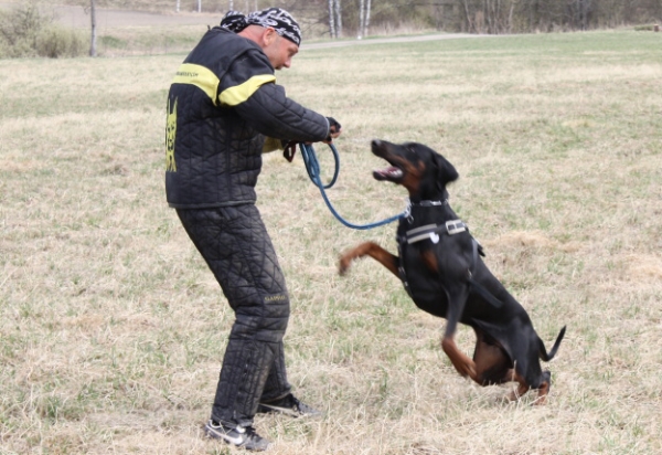 Training in Finland 5/2009