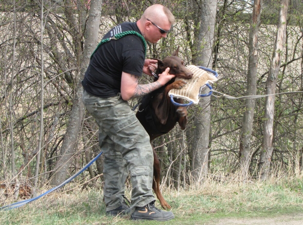 Training in Finland 5/2009