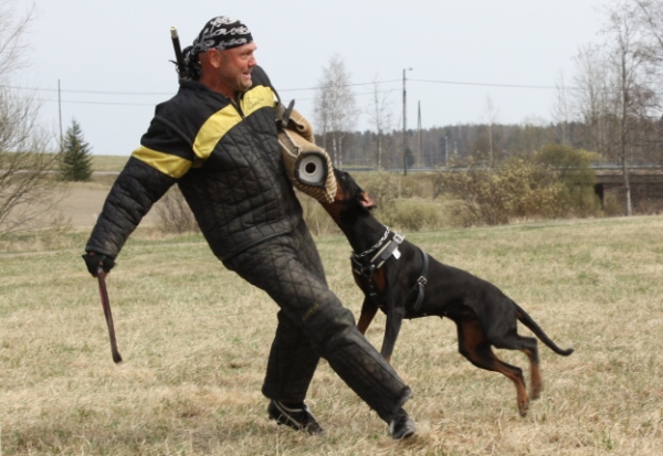 Training in Finland 5/2009