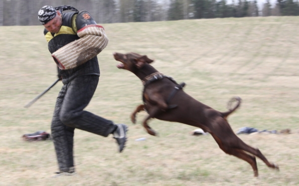 Training in Finland 5/2009