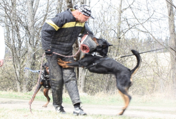 Training in Finland 5/2009