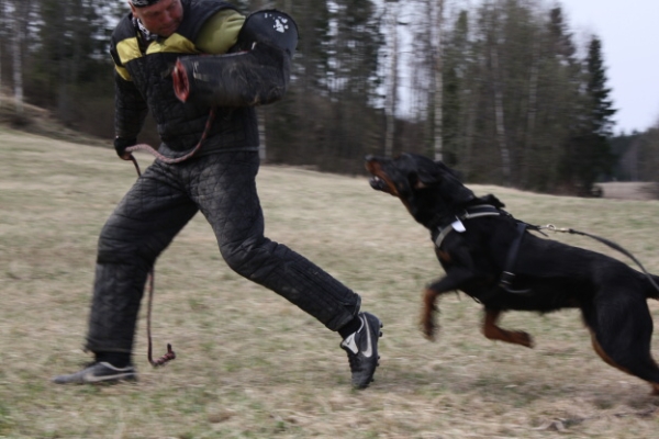 Training in Finland 5/2009