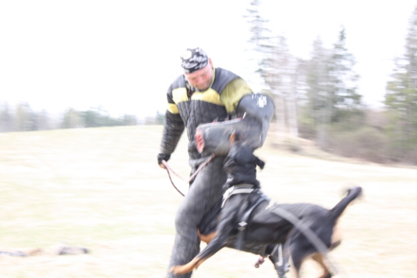 Training in Finland 5/2009