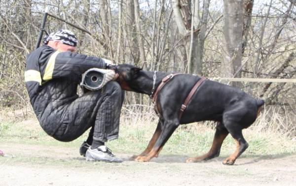 Training in Finland 5/2009