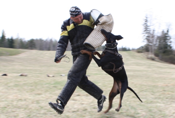 Training in Finland 5/2009