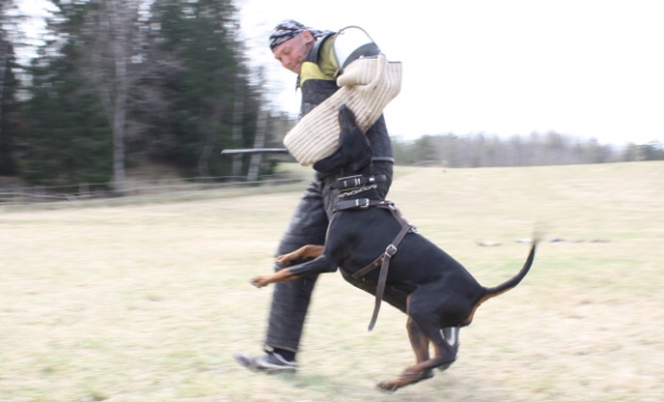 Training in Finland 5/2009