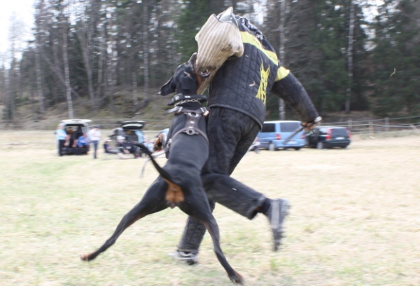 Training in Finland 5/2009