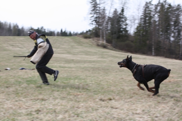 Training in Finland 5/2009