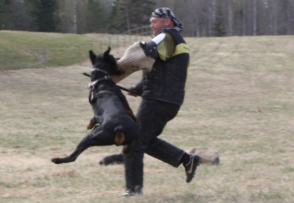 Training in Finland 5/2009