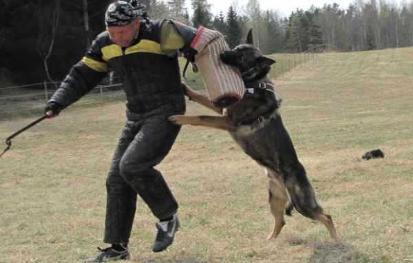 Training in Finland 5/2009