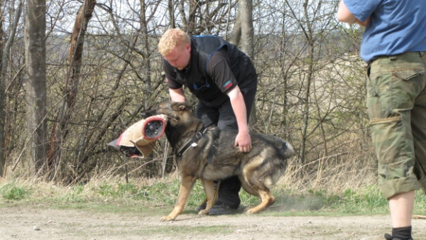 Training in Finland 5/2009