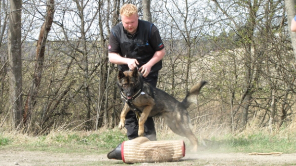 Training in Finland 5/2009