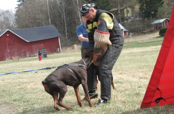 Training in Finland 5/2009