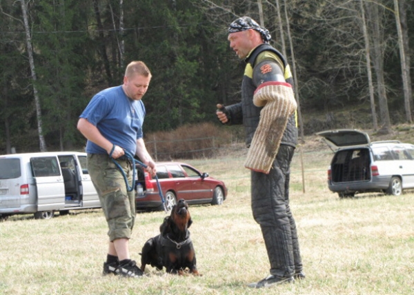 Training in Finland 5/2009