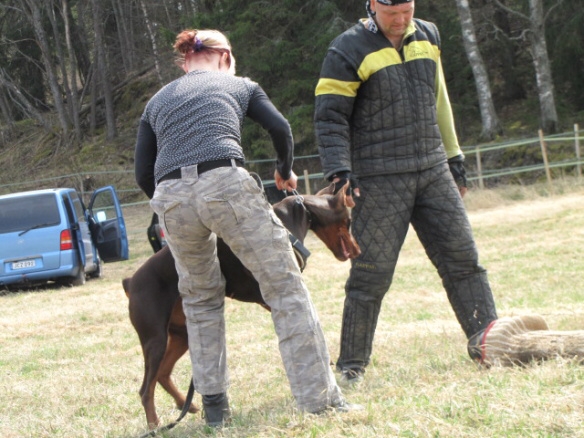 Training in Finland 5/2009