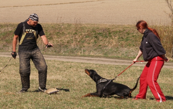 Training in Finland 5/2009