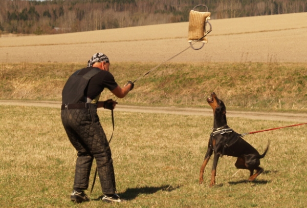 Training in Finland 5/2009