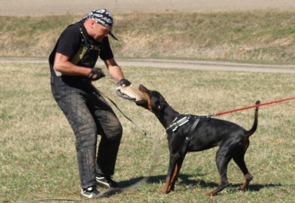 Training in Finland 5/2009