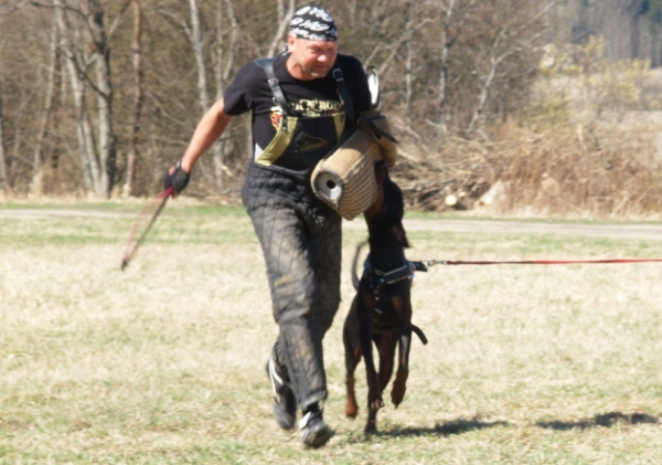 Training in Finland 5/2009