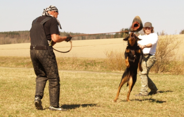 Training in Finland 5/2009