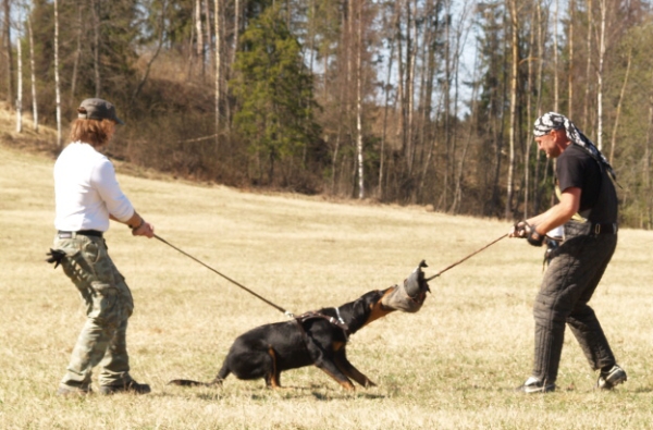 Training in Finland 5/2009