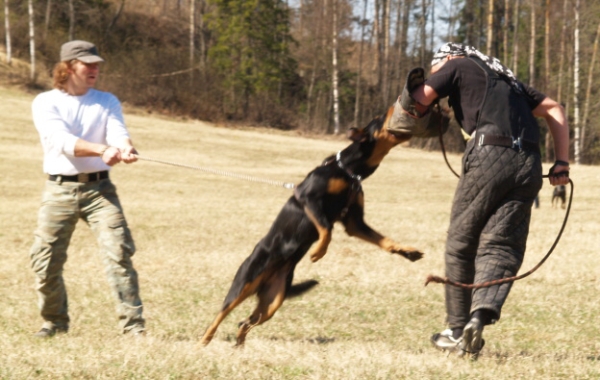 Training in Finland 5/2009