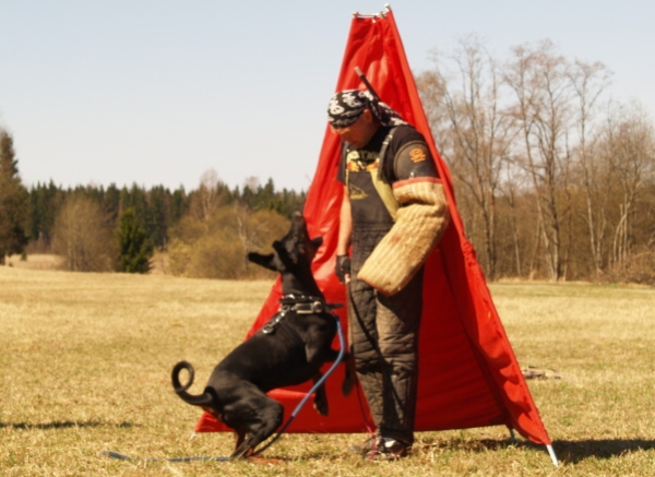 Training in Finland 5/2009