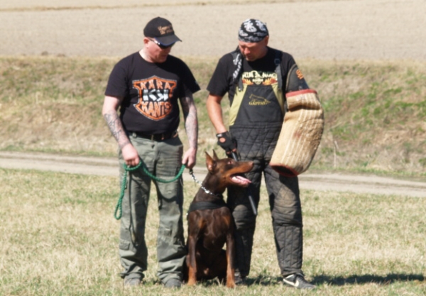 Training in Finland 5/2009