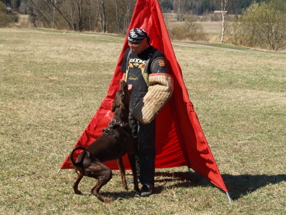 Training in Finland 5/2009