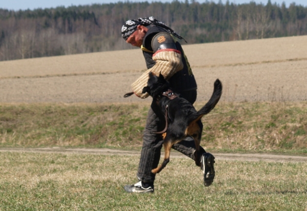 Training in Finland 5/2009