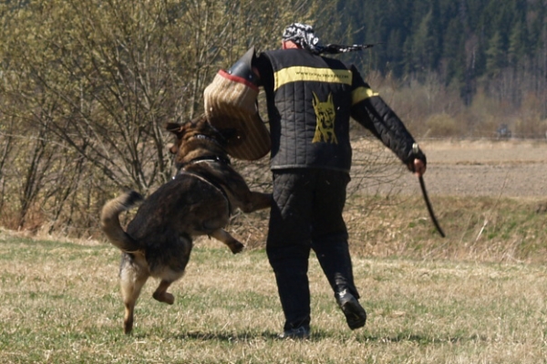 Training in Finland 5/2009