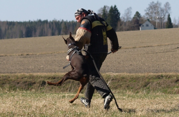 Training in Finland 5/2009