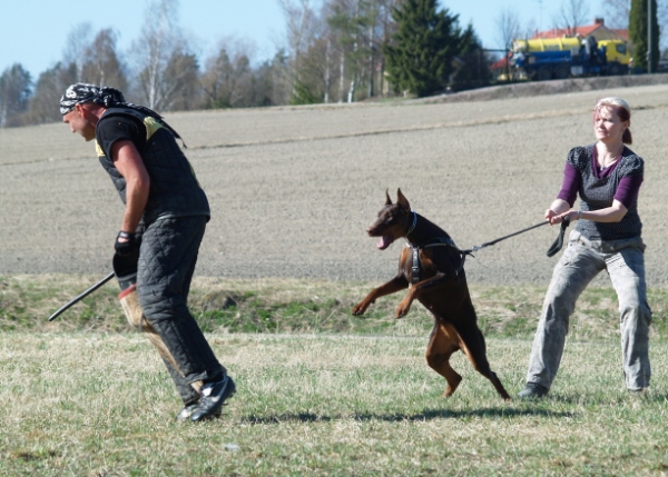 Training in Finland 5/2009